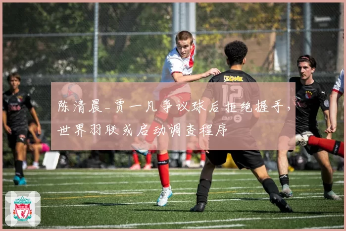 陈清晨_贾一凡争议球后拒绝握手，世界羽联或启动调查程序