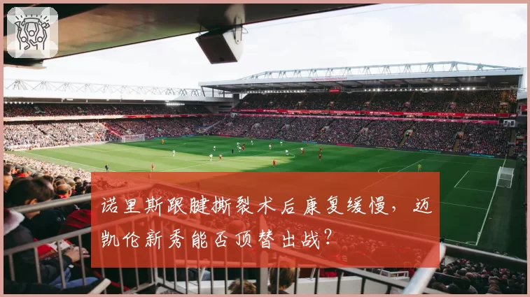诺里斯跟腱撕裂术后康复缓慢，迈凯伦新秀能否顶替出战？