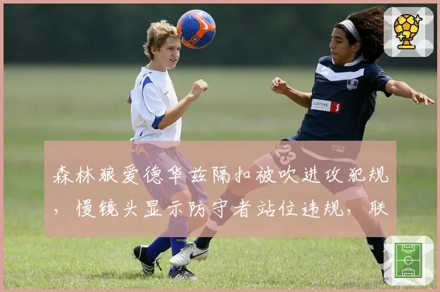 森林狼爱德华兹隔扣被吹进攻犯规，慢镜头显示防守者站位违规，联盟调查启动