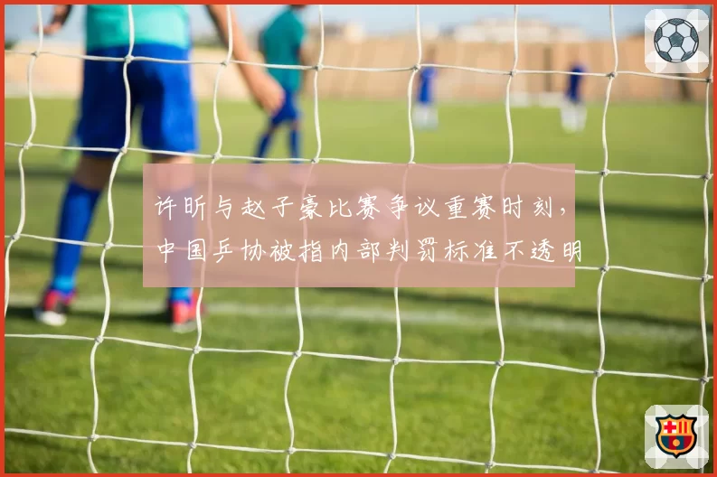 许昕与赵子豪比赛争议重赛时刻，中国乒协被指内部判罚标准不透明