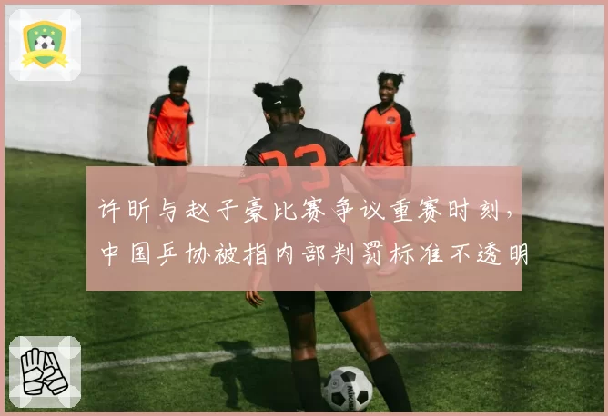 许昕与赵子豪比赛争议重赛时刻，中国乒协被指内部判罚标准不透明